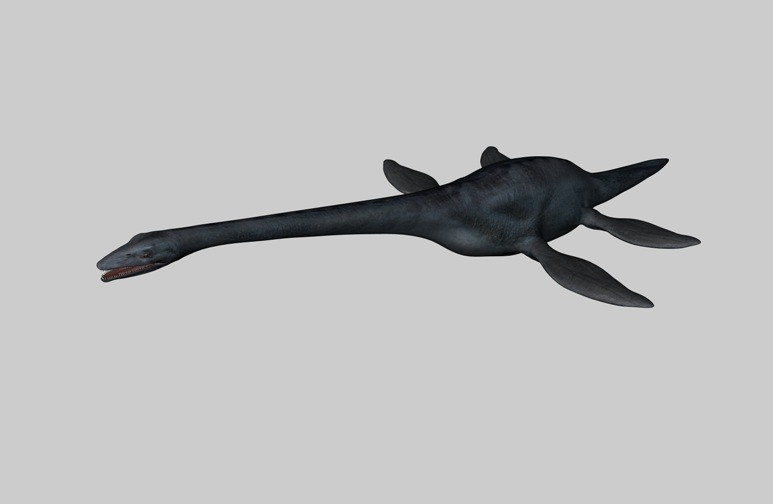 恐龙c4d模型:薄板龙 elasmosaurus