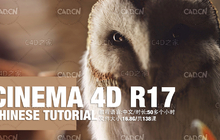 138集C4D全解中文视频教程CINEMA 4D Chinese Tutorial