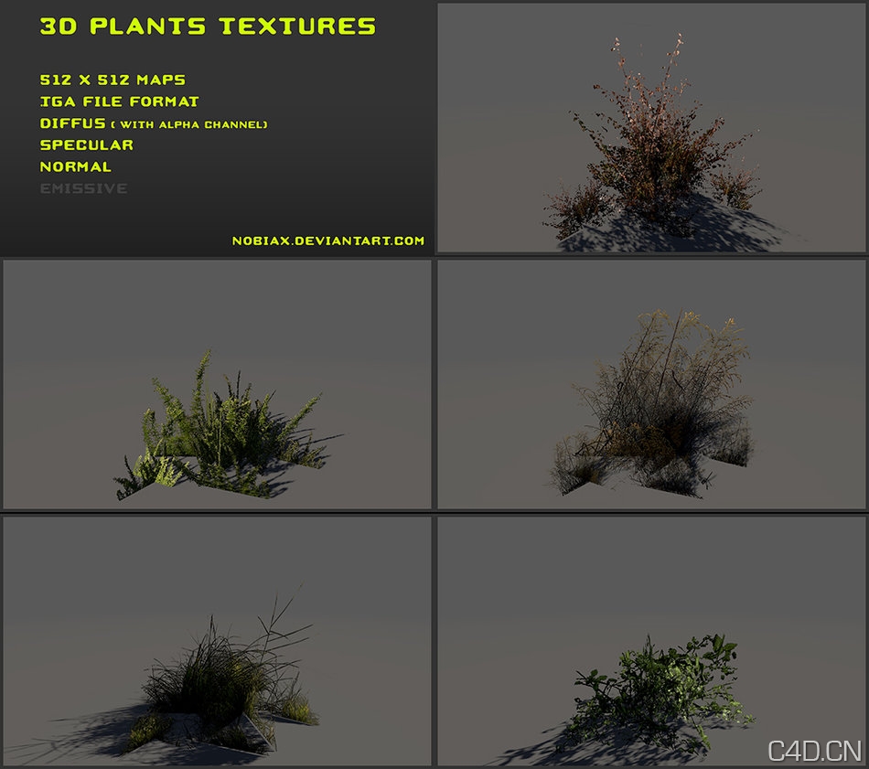 植物三维贴图：Free 3D plants textures 04 - C4D之家 - free_3d_plants_textures_04_by_nobiax-d4dmnan.jpg