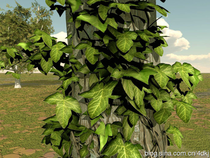 C4D常春藤种植插件 Ivy Grower 1.2 - C4D之家 - showpic.jpeg