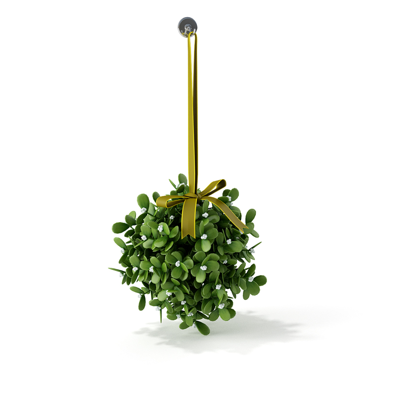 圣诞节装饰品：圣诞绿色植物C4D模型 Christmas greenery 3D model - C4D之家 - RENDERS  15.jpg