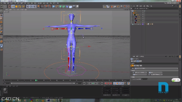 新线中视 free教程   c4d骨骼绑定系列 - C4D之家 - QQ截图20140520092533.jpg