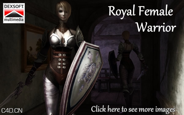 皇家女战士动画人物3D模型 - C4D之家 - royal_female_warrior_banner.jpg