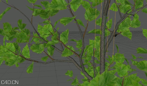 C4D树木生长教程 Animating Tree Growth using Xfrog - C4D之家 - Cinema-4D-Animating-Tree-Growth-using-Xfrog-Tutorial.jpg