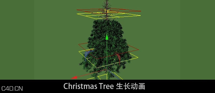 C4D树木生长动画视频教程 Christmas Tree - C4D之家 - Chriseeoyp.jpg