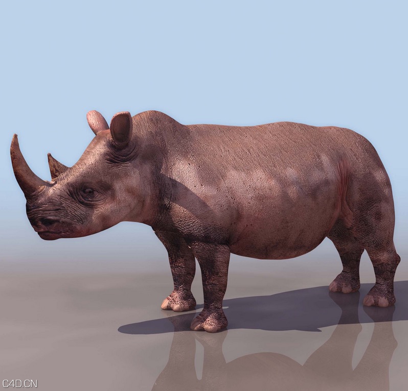 犀牛C4D模型 Rhino 3D model - C4D之家 - cinema4d_ 2015-04-20 22.00.48.jpg