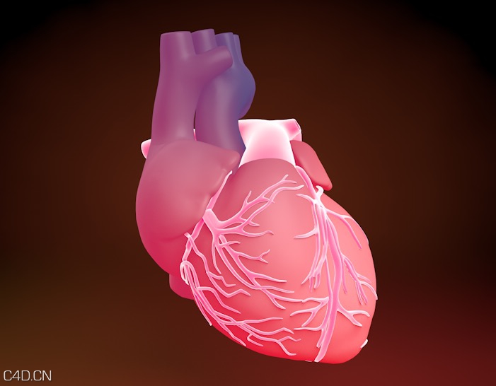 心脏C4D模型 The heart of 3D model - C4D之家 - cinema4d_ 2015-04-21 00.03.05.jpg