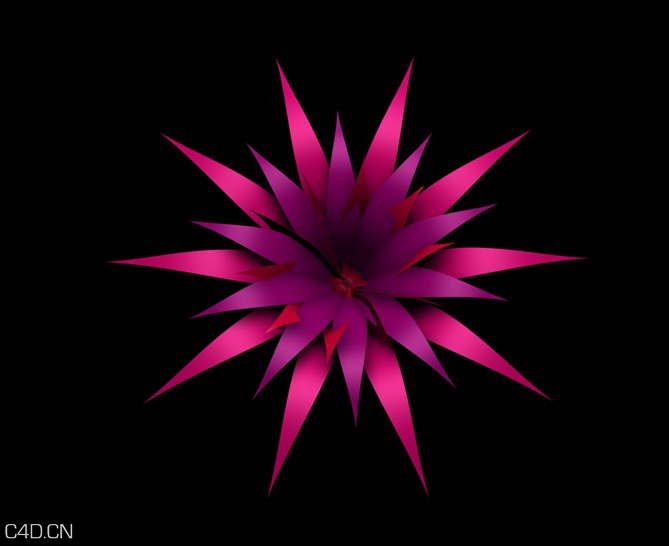 紫红色花朵C4D生长动画 Purple red flowers C4D growth animation - C4D之家 - cinema4d_ 2015-09-21 15.23.54.jpg