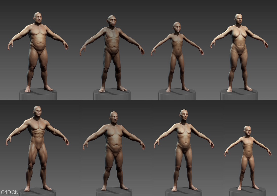 ZB雕刻人体模型 Human ZBuilder for Zbrush - C4D之家 - cinema4d_ 2015-12-31 21.50.36.jpg