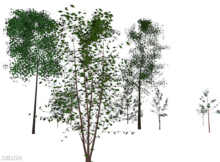 低面树木C4D模型 Trees Saplings low-poly 3d model - C4D之家 - cinema4d_ 2016-02-05 20.36.23.jpg