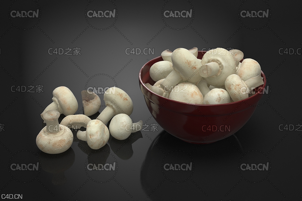 口蘑 冬菇 香菇 白蘑菇 Mushrooms - C4D之家 - AM224_021.jpg