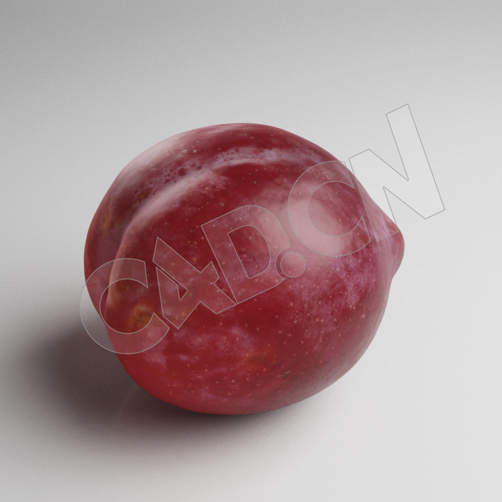 C4D成熟的李子模型 Plum - C4D之家 - 113.jpg