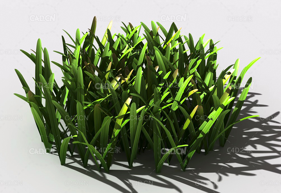 草坪草地绿草植物C4D模型 lawn-grass-b1 - C4D之家 - 23.jpg