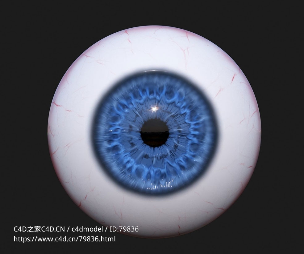 真实人眼球模型3D Eye Model - C4D之家 - R-C.jpg