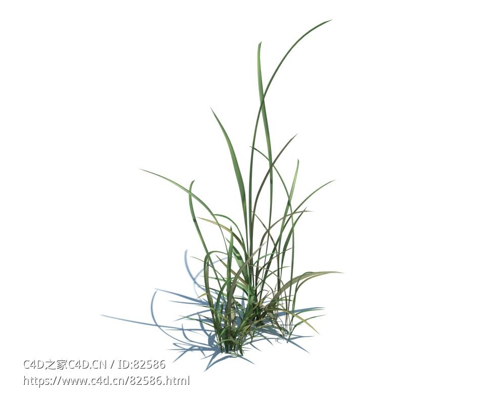 杂草植物模型下载simple grassL v2 - C4D之家 - 17.jpg