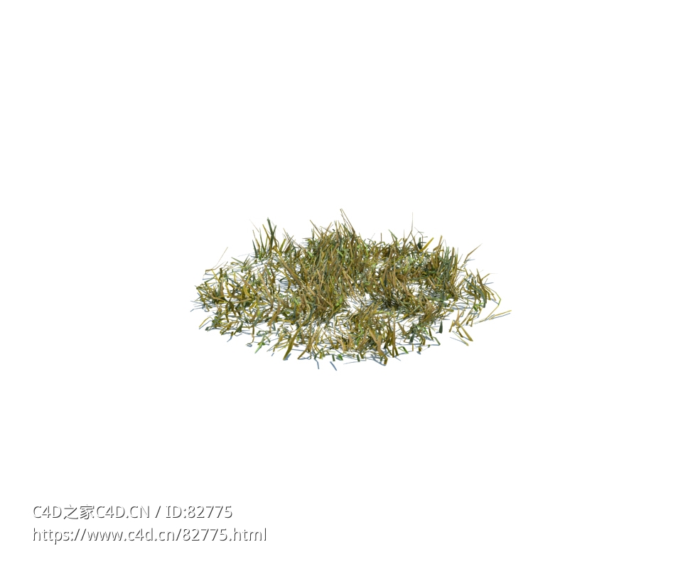 小野草植物杂草模型下载simple grass medium v2 - C4D之家 - 110.jpg