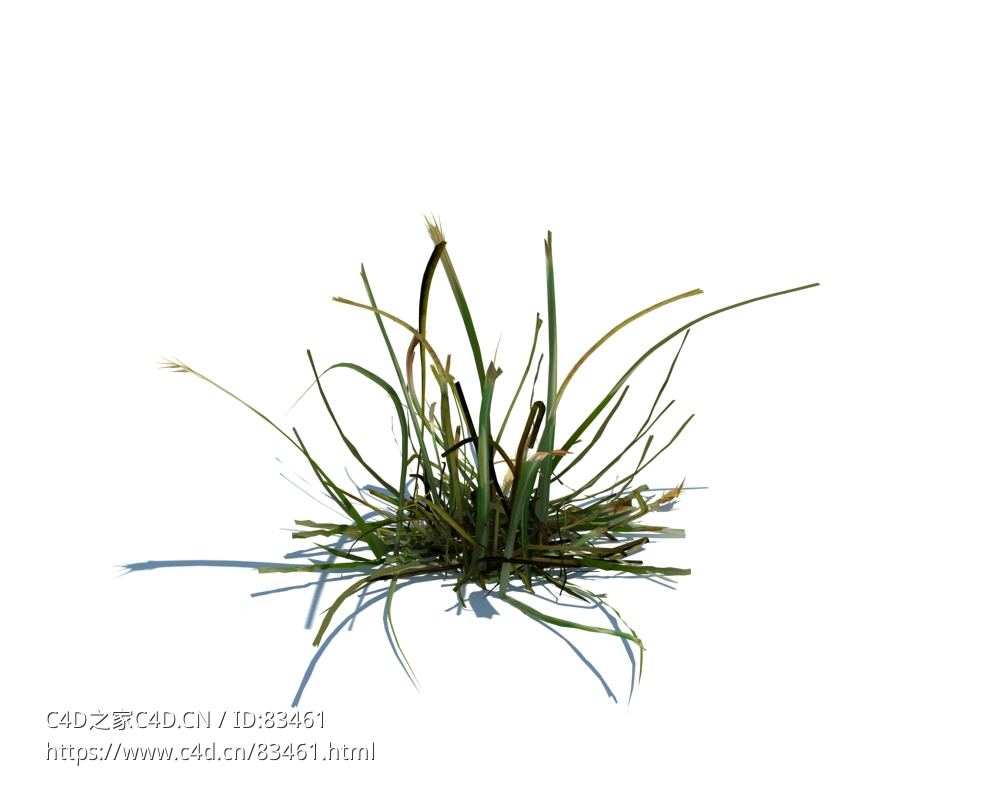 草地绿草植物杂草模型下载simple grass v1 - C4D之家 - 43.jpg