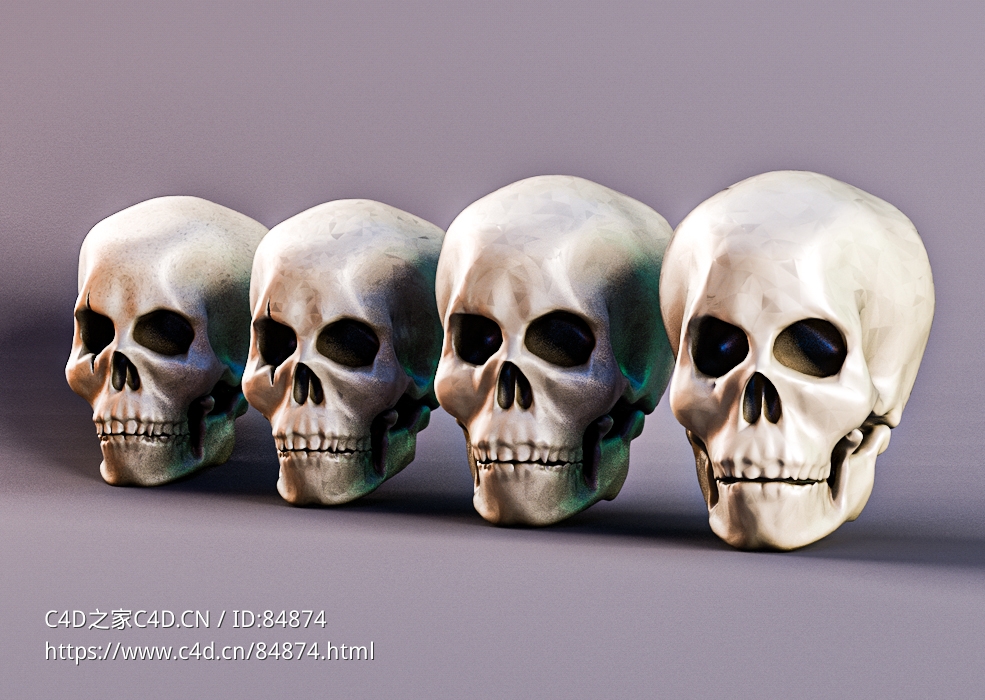 4个人类头骨c4d模型免费下载Human Skull - C4D之家 - Skull.jpg