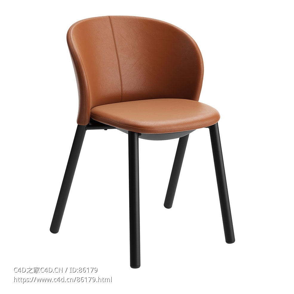 雏菊可叠放椅 (叠放椅)3D模型素材下载Daisy Stackable Chair by Zanotta - C4D之家 - 0861.jpg