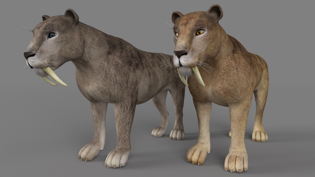 史前大型猫科动物剑齿虎C4D模型 Sabertooth 3d model - C4D之家 - cinema4d_ 2017-01-06 19.45.25.jpg