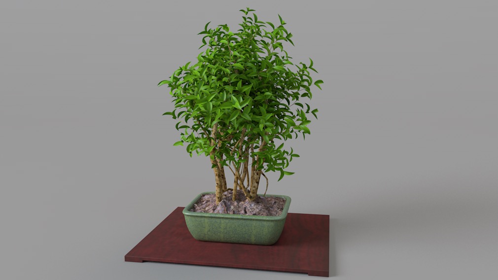 室内装饰植物盆景C4D模型 Plant bonsai - C4D之家 - cinema4d_ 2017-02-25 22.33.53.jpg