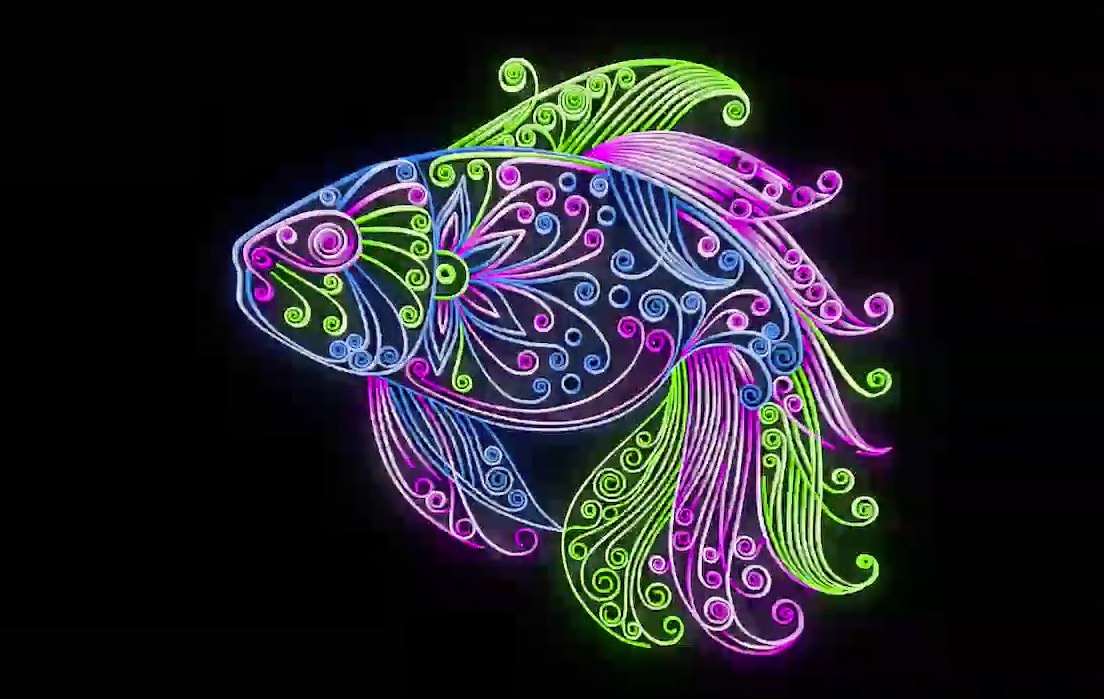 C4D七彩样条鱼生长动画教程 Animate fish floral motion graphics tutorial - C4D之家 - cinema4d_ 2017-05-13 23.35.31.jpg