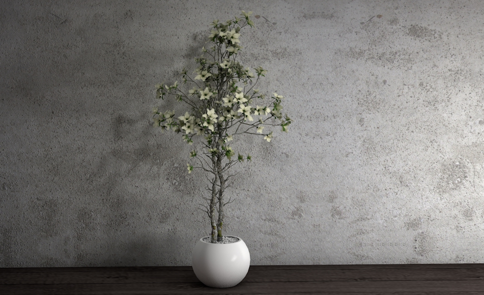 室内装饰花卉 景观花盆C4D模型 Interior decoration flower - C4D之家 - 021.jpg