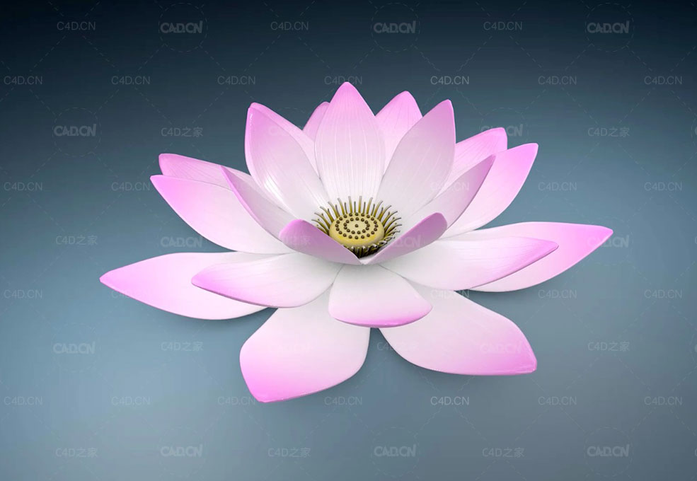 C4D莲花建模视频教程 Animating Lotus Flower   Cinema 4D Tutorial - C4D之家 - 屏幕快照-2019-09-25-19.17.51.jpg