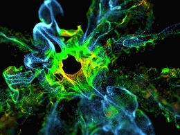 蓝绿色粒子风暴防爆标志平流粒子爆炸explosiafx logo advection r16-r23 x-particles