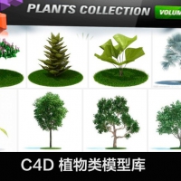 C4D树木、植物模型库（含贴图）