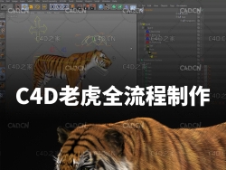 C4D老虎建模 展UV 绑定全流程制作无声案例教程