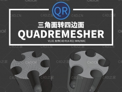 C4D三角面转换成四边面插件中文汉化版 Exoside QuadRemesher v1.01 for Cinema 4D