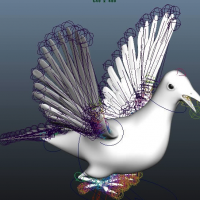 鸽子3D模型 maya动物模型(带骨骼)