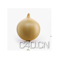 C4D蔬菜模型-洋葱头3D模型 Onion