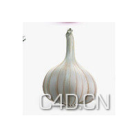 C4D蔬菜模型-大蒜模型 Garlic