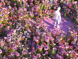 站在花海里的人C4D教程Floral Creative 3D Animation using Cinema4D & Octane Render