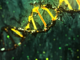 C4D/AE制作DNA分子腐蚀效果教程 DNA molecules corrosion Tutorial