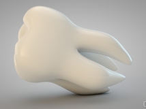 C4D牙齿模型 Tooth model