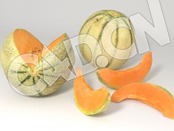 C4D哈密瓜水果模型 Cantaloupe Melon 3d Model