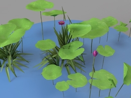 荷花景观C4D模型 Lotus 3d model