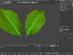 【C4D教程】叶子的骨骼绑定 花草树木绑定