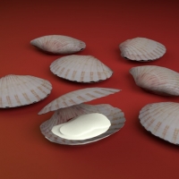 贝壳（扇贝 河蚌）C4D模型 Shell