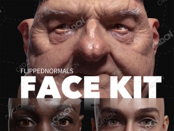 精致人脸面部深度贴图素材（PSD/EXR） FlippedNormals – Face kit