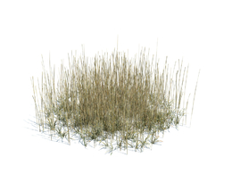 秋冬季干枯草地植物杂草模型下载simple grass large v3