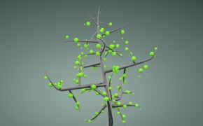 C4D生长的树 Growing tree with xfrog