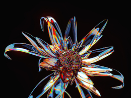 玻璃花瓣c4d octane渲染工程文件Glass Petals