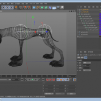 新线中视 c4dfree教程 骨骼绑定系列三 前腿脖子以及头部03