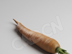 C4D胡萝卜蔬菜模型 Carrot