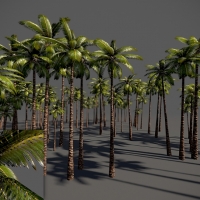 椰子树三维材质贴图：Palm tree v2